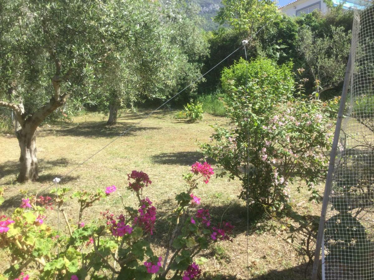 The Cabin, Kyparissia Extérieur photo