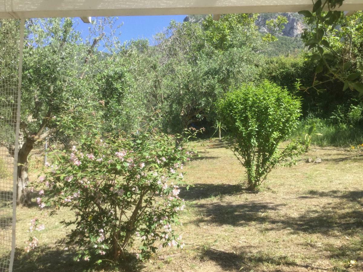 The Cabin, Kyparissia Extérieur photo